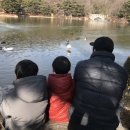신우재한의원 네이버블로그