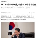 尹 “韓 정부 대표단, 내일 우크라이나 방문” ㅋㅋㅋㅋㅋ 젠장할 이미지