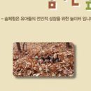 꿈꾸는 숲 이미지