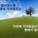 췌장암,담도암 간암의 자연치유 요법에 관하여 이미지