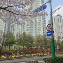 남동96 | 만수동 수학학원 잠룡승천 50점에서 96점 반등 후기