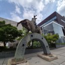 돈키호테-무식한 소 이미지