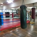 제일복싱체육관 이미지