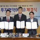 그린티앤에프