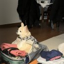 우진5체육관 | 제주도 여행 _제주도 그랜드조선 호캉스 1일차