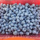 아이맛나 이미지