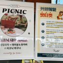 메텔쥬스