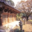 성혈사 - 1744 | 성혈사