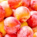 도곡리영농조합법인 이미지