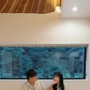 시나브로경주 | [경주 한옥 독채 펜션] 고즈넉한 시나브로 경주, 내돈내산 찐후기