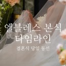 엘블레스 본식 타임라인 11시 첫 타임 예식 (사진 없이 텍스트만 있는 후기)