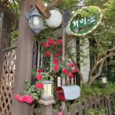 개미촌펜션 이미지