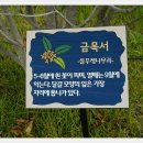 그린레일웨이 이미지