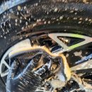 파파워시존 이미지