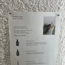 오유월 헤어룸