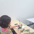 삼괴도서관 | 삼괴도서관 성인 그림책원예테라피 정규 문화강좌