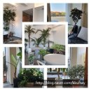 인플럭스 이미지