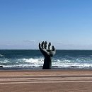 포항더엘리트독채키즈풀빌라 이미지