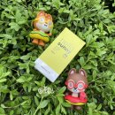 매나닷컴 | 여름 메이크업 준비물 바닐라코 헬로 써니 에센스 선 스틱 후기