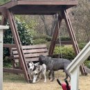 오크빌민박 이미지