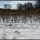 상용보건진료소 이미지