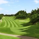 대우카프라자 이미지