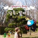 소이컴퍼니 이미지