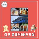 아크 플래닛 | 용인 아크 플래닛 애견 카페ㅣ넓은 실내 운동장 내돈내산 솔직후기