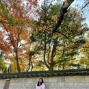 해바라기PC방 이미지