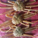 수진수산 - 강화군 중앙로 17-9 | 수진수산
