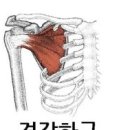 준피티샵 네이버블로그