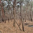 청룡여관 이미지