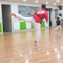 VIP 태권도장 이미지