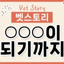 법률사무소친