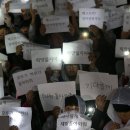 쭈 이미지