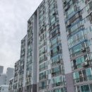 해운대로81번길 이미지