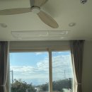 바이신산 이미지