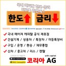 신일건설기계 이미지