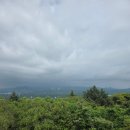 제주;길 | 저지 오름 :: 제주 서쪽 오름 숲길 힐링 트레킹 후기, 소요시간, 주차, 난이도 정리