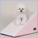 강아지 관절 지키는 초코펫하우스 슬라이드스텝 논슬립 2.0 솔직 후기