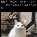 3월말에 돌아보는 2월 너무귀찮은데 가보자고 킵고잉 ~