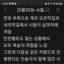 2차 5월 30일 코카서스 여행의 실태 이미지