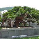 제주아트랜드 이미지