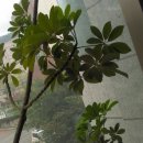 가야1동주민센터 이미지