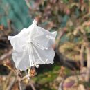 토종농장 이미지