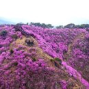 쉽고 맛있는 건강 가정요리 이미지