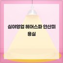 헤어랑스파
