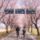 안성 조령천 | 경기도 안성 벚꽃 명소 TOP5 안성천 포함, 드라이브코스까지
