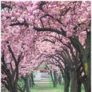 월곡역사공원 이미지