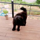 플라츠907(Platz907) 이미지